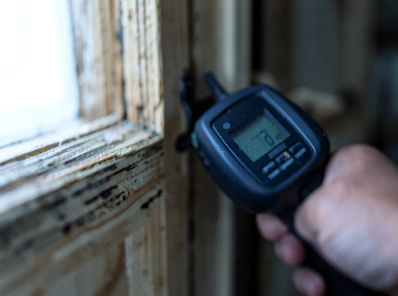 Moisture Inspection And Documentation in Kitzmiller, MD